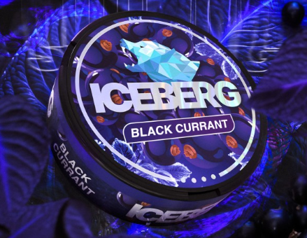 Черная смородина1